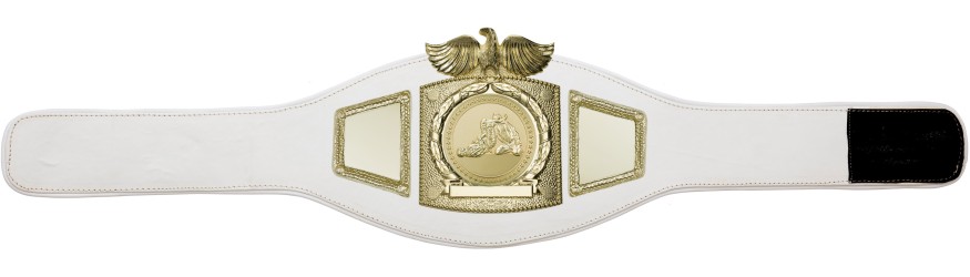 PROEAGLE JIU JITSU CHAMPIONSHIP BELT - PROEAGLE/G/JJG - AVAILABLE IN 6+ COLOURS PROEAGLE JIU JITSU CHAMPIONSHIP BELT - PROEAGLE/G/JJG - AVAILABLE IN 6+ COLOURS